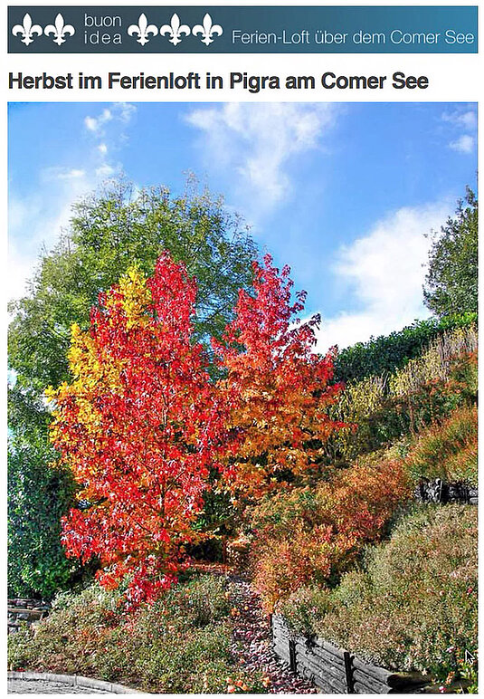 Unser Herbst-Newsletter 2016