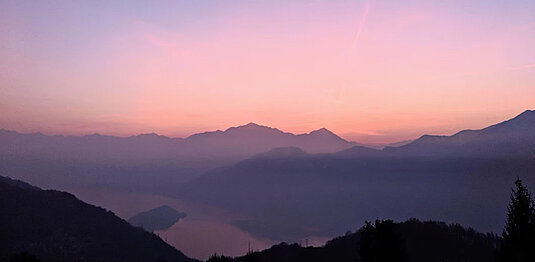 SHADES OF ROSE in the MORNING
