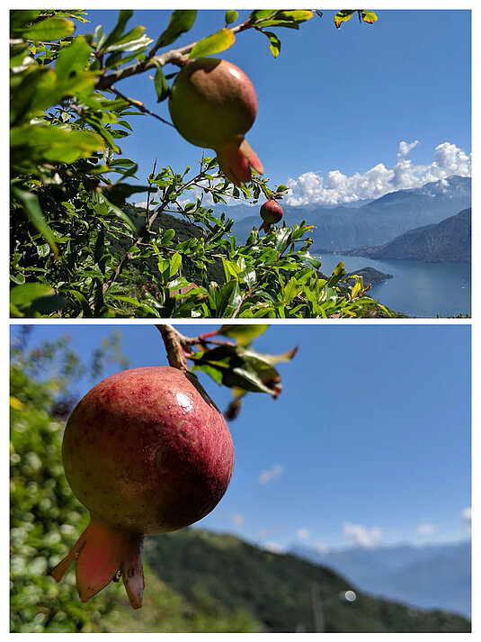 PICCOLO PARADISO