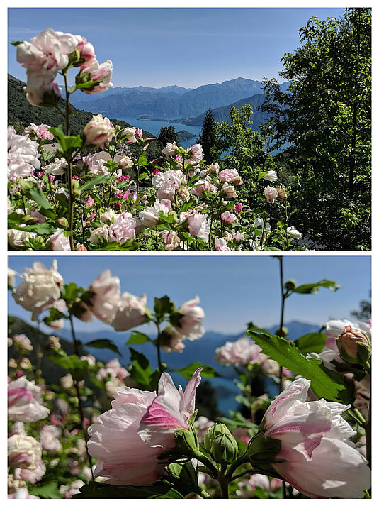 ...noch MEHR Sonne 