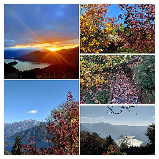HERBST-IMPRESSIONEN und GLÜCKS-GEFÜHLE